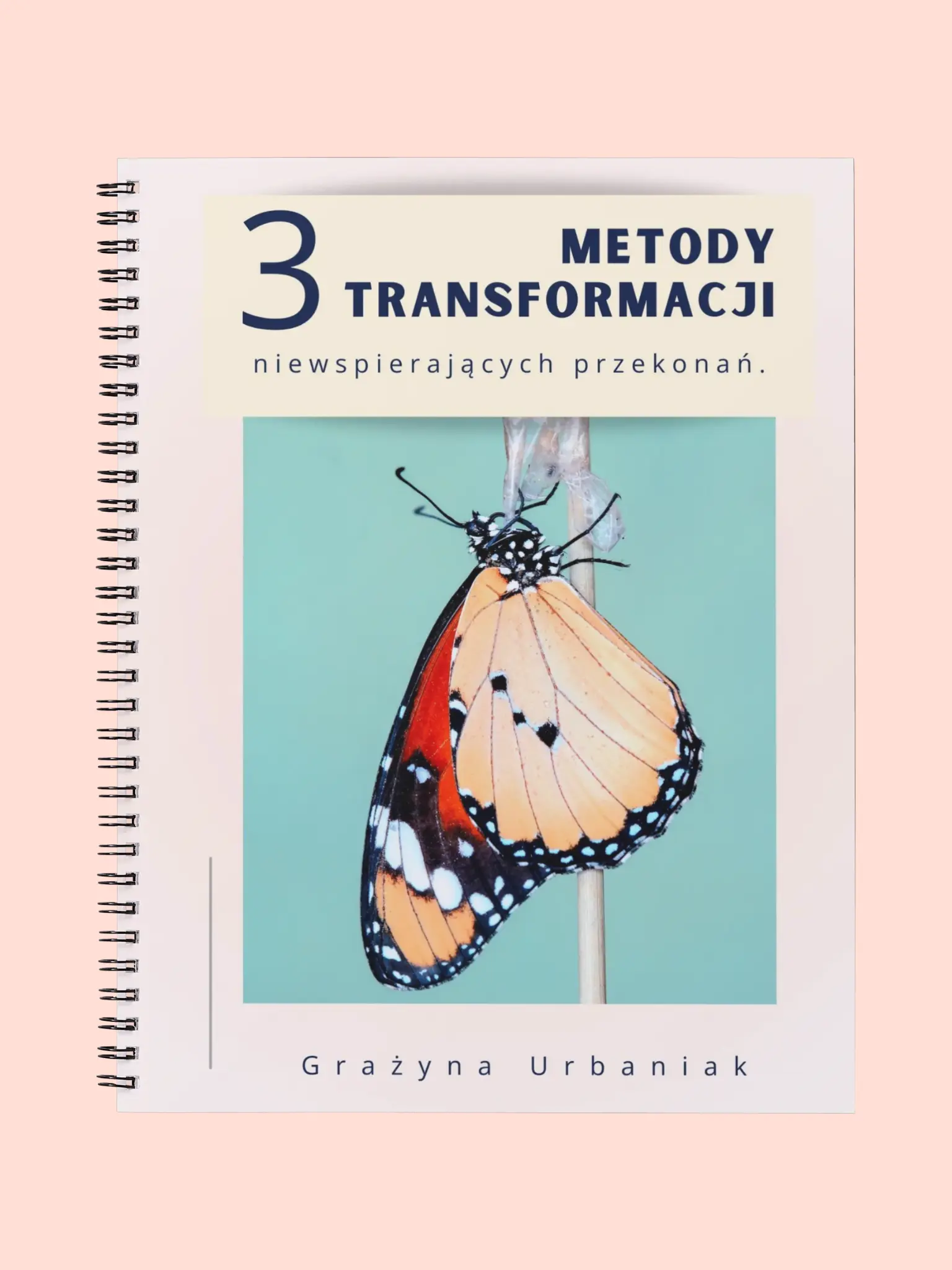 3 metody transformacji niewspierających przekonań.